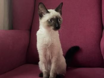 Muneca Bild von Muneca