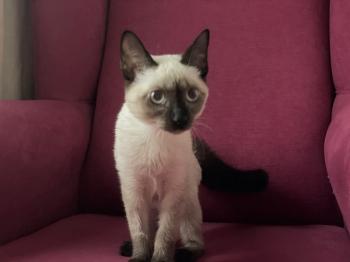 Muneca Bild von Muneca