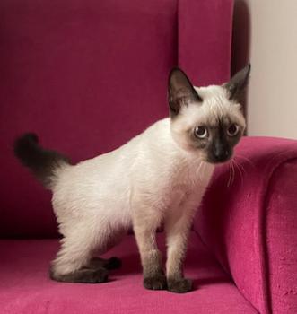 Muneca Bild von Muneca