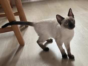 Muneca Bild von Muneca