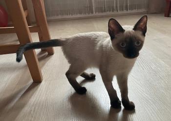 Muneca Bild von Muneca