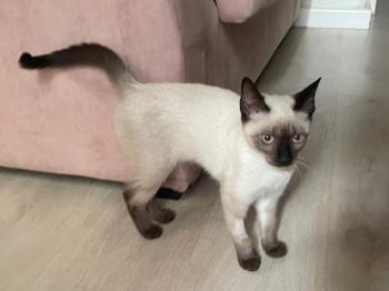Muneca Bild von Muneca