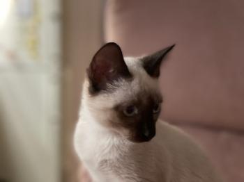 Muneca Bild von Muneca