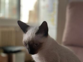 Muneca Bild von Muneca