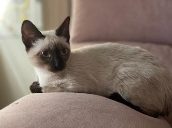 Muneca Bild von Muneca