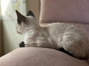 Muneca Bild von Muneca