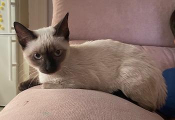 Muneca Bild von Muneca
