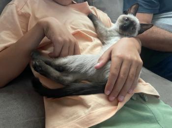 Muneca Bild von Muneca
