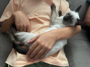 Muneca Bild von Muneca