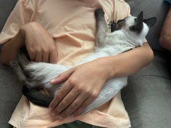 Muneca Bild von Muneca