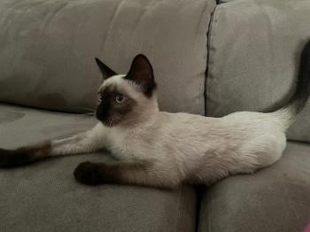 Muneca Bild von Muneca