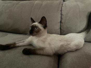 Muneca Bild von Muneca