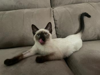 Muneca Bild von Muneca