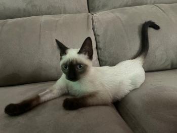 Muneca Bild von Muneca