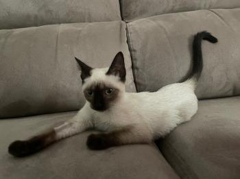 Muneca Bild von Muneca