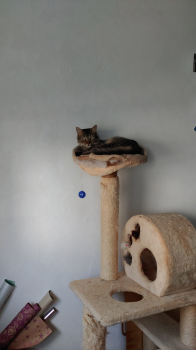 Marte Bild von Marte