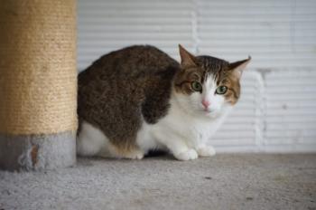Lila Bild von Lila