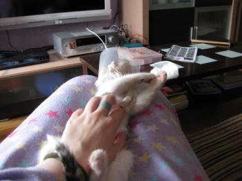 Magoo Bild von Magoo