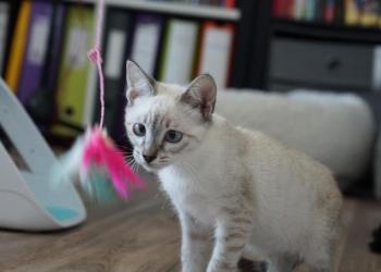 Bild von Juanito