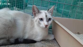 Pili Bild von Pili