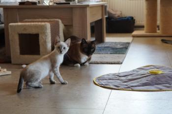 Bild von Juanito