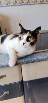 Mina Bild von Mina