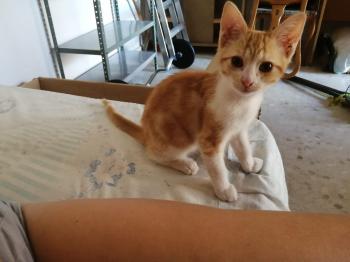Nikita Bild von Nikita