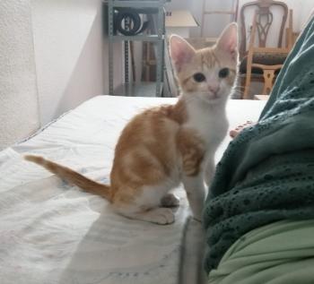 Nikita Bild von Nikita