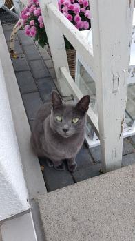 Nala Bild von Nala