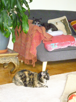 Susi Bild von Susi