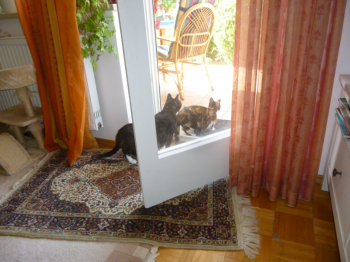 Susi Bild von Susi