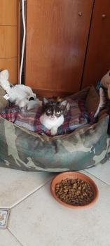 Magie Bild von Magie