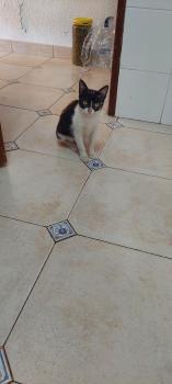 Magie Bild von Magie
