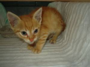 Jack Bild von Jack