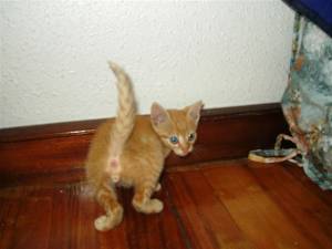 Jack Bild von Jack