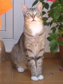 Renzo Bild von Renzo