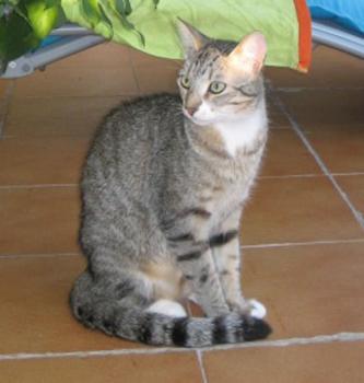 Renzo Bild von Renzo
