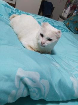 Blanki Bild von Blanki