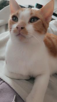 Ricky Bild von Ricky