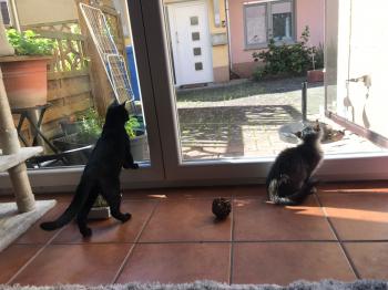 Salem Bild von Salem