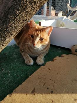 Coco Bild von Coco