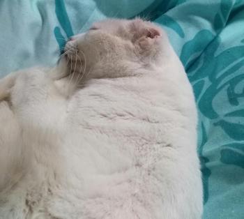 Blanki Bild von Blanki