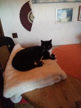 Heini Bild von Heini