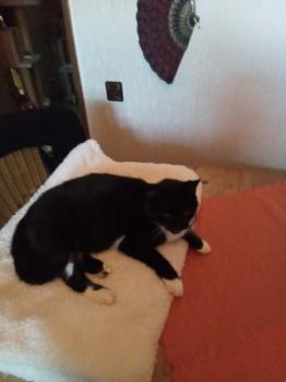 Heini Bild von Heini