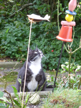 Susi Bild von Susi
