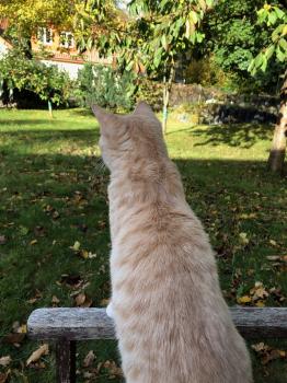 Pin Bild von Pin