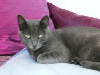 Lili Bild von Brain-Lilly