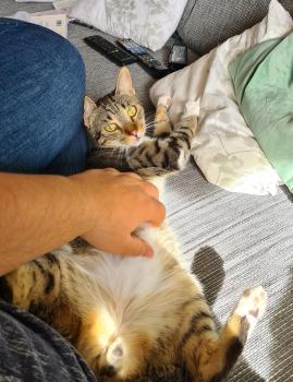 Kenay Bild von Kenay