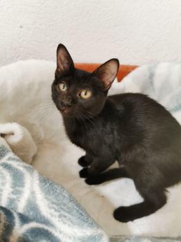Lola Bild von Lola
