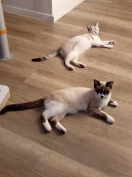 Pili Bild von Pili